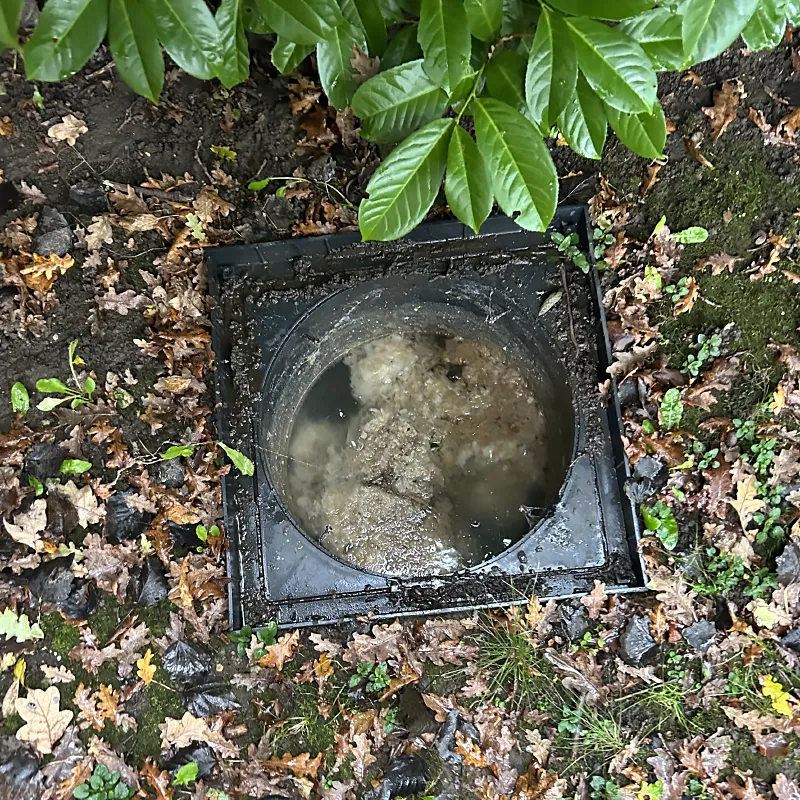 Drain Jetting Service Before Image